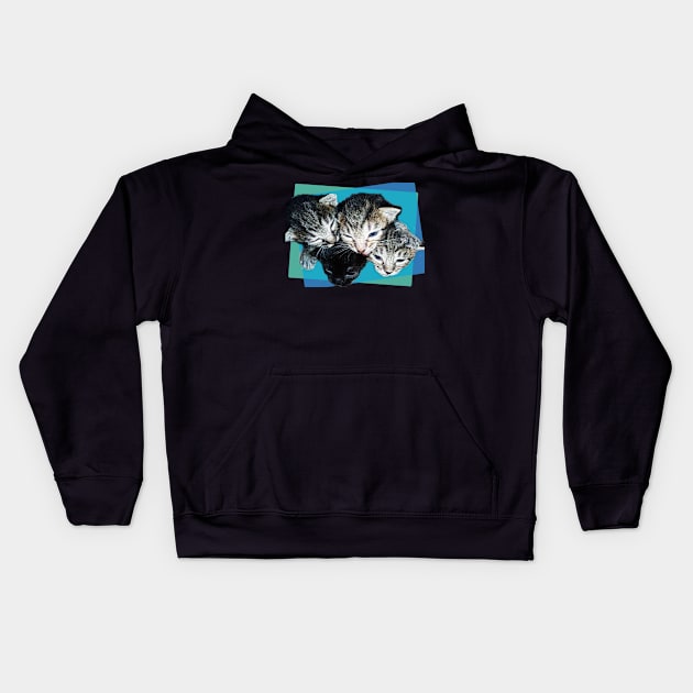 Kittens Cute Kids Hoodie by Markyartshop